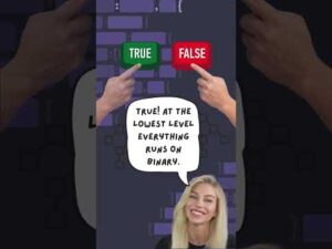 True or false: computers only understand 1s and 0s…?